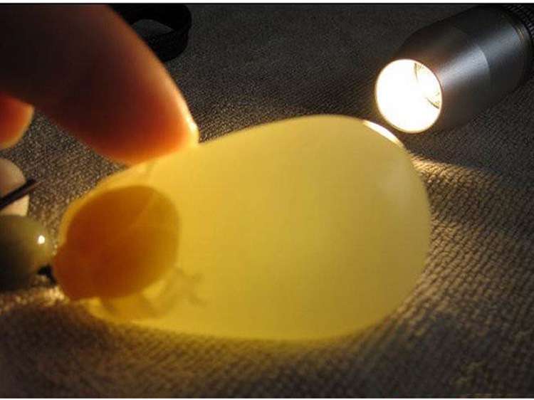 玉石用照玉手電筒白光和放大鏡看的是什么?