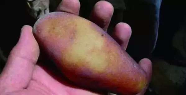 漲知識,玉也能騙人!照玉手電筒照出真相